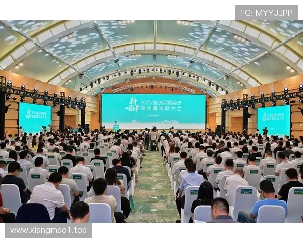 以企业家精神为中心推动创新与组织持续高质量发展的战略路径探索