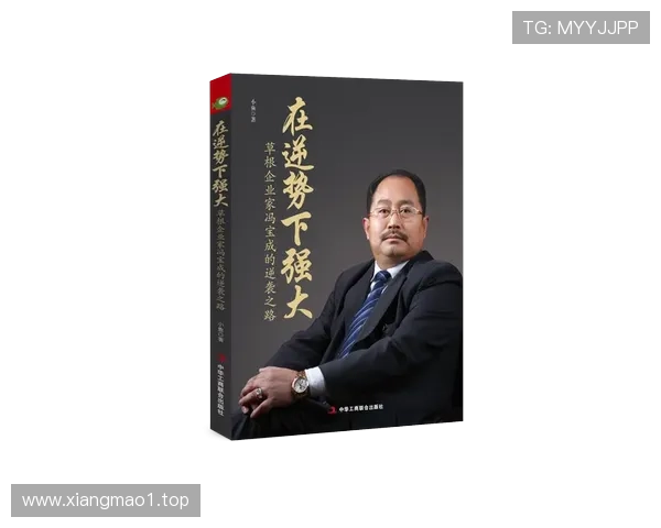 企业家之路中探索创新成长与时代使命交织的非凡奋斗旅程宏伟新篇章