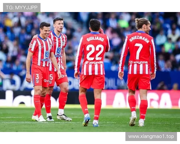 小西蒙尼：小蜘蛛加盟让我们备感荣幸